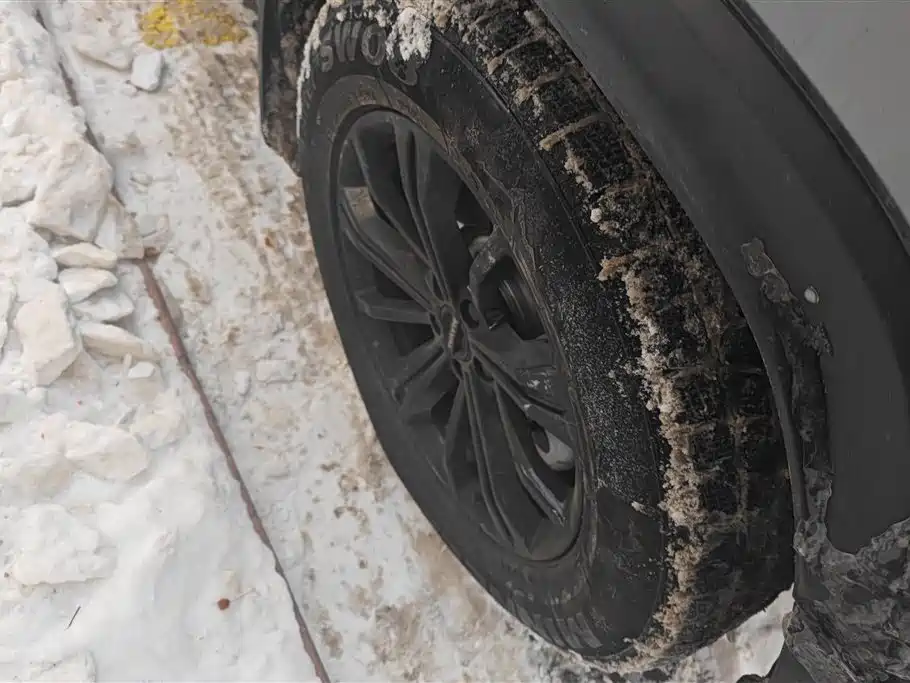 HAVAL RAPTORS NEW ENERGY