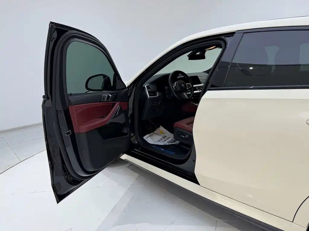 BMW X6 — миниатюра 23