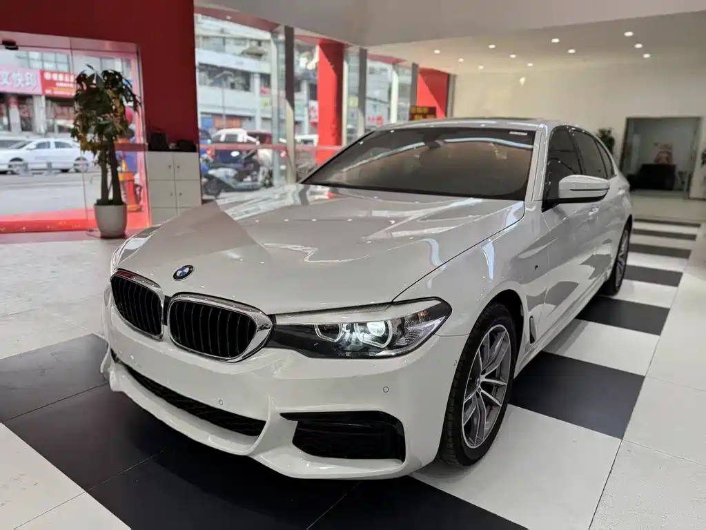 BMW 5 SERIES