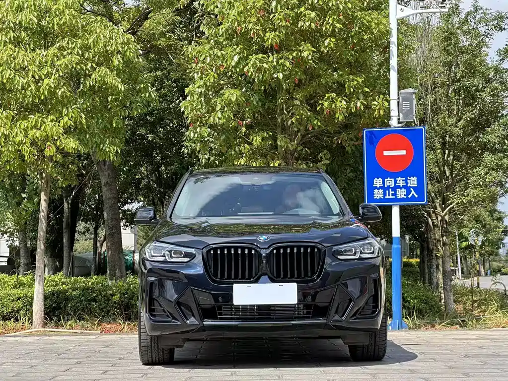 BMW X3 — миниатюра 2