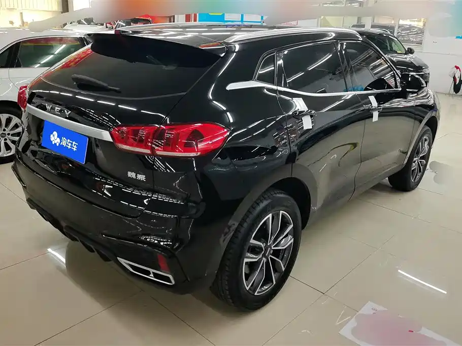 WEI PAI WEI BRAND VV5