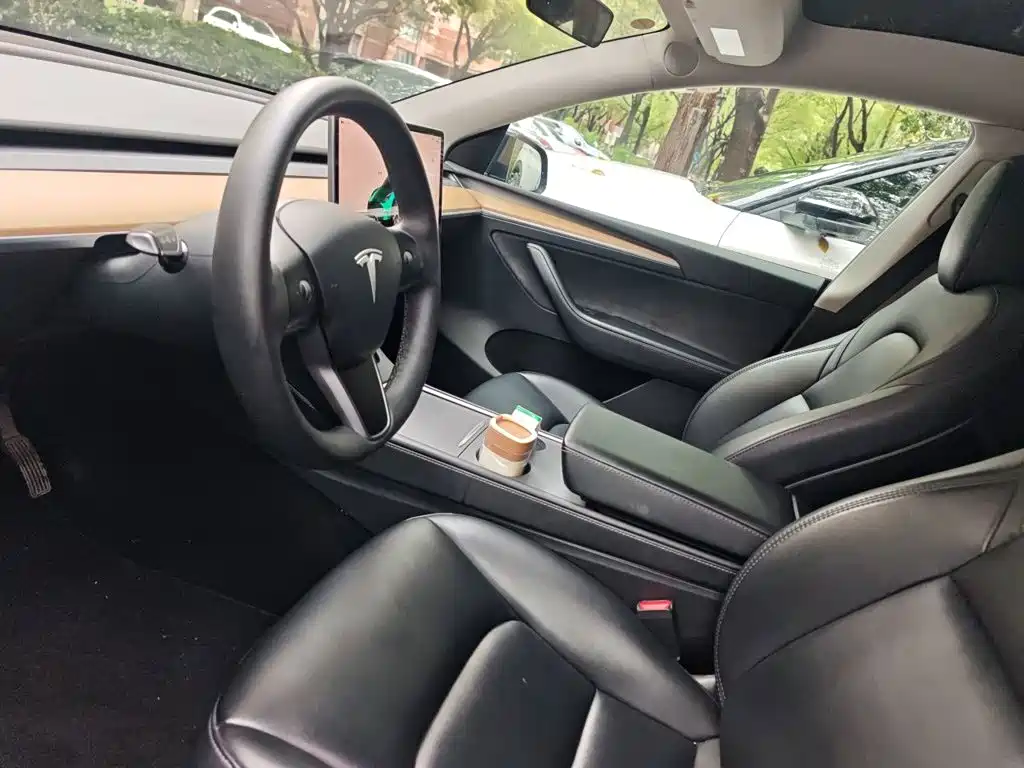 Tesla Model Y — миниатюра 16