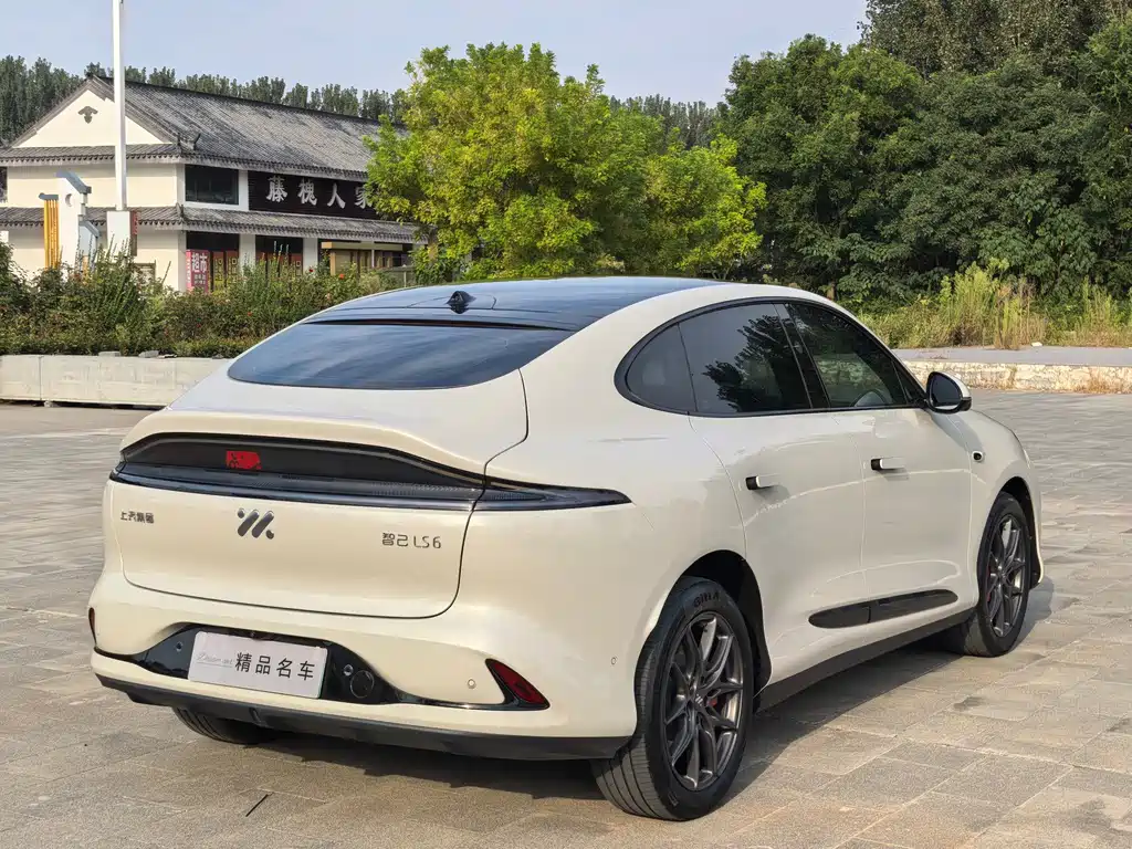 IM IM LS6 — миниатюра 7