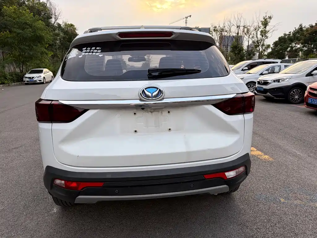 Huasu Huansu S5 — миниатюра 11