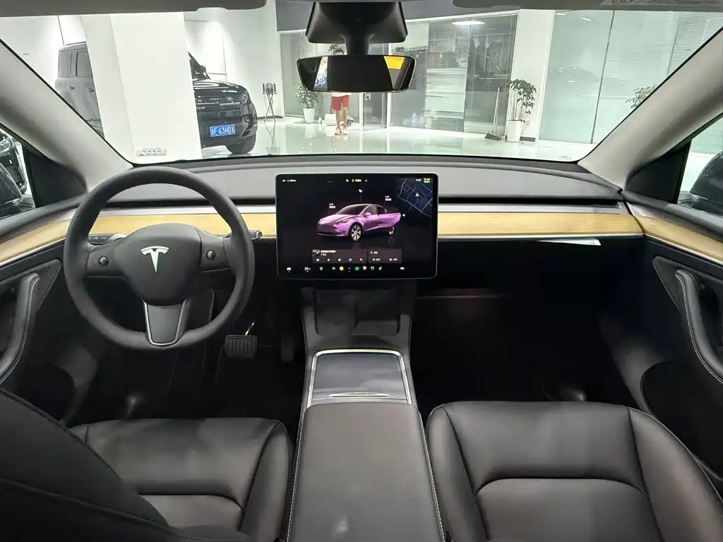 Tesla Model Y — миниатюра 6