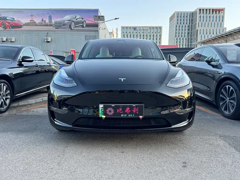 Tesla Model Y — миниатюра 2
