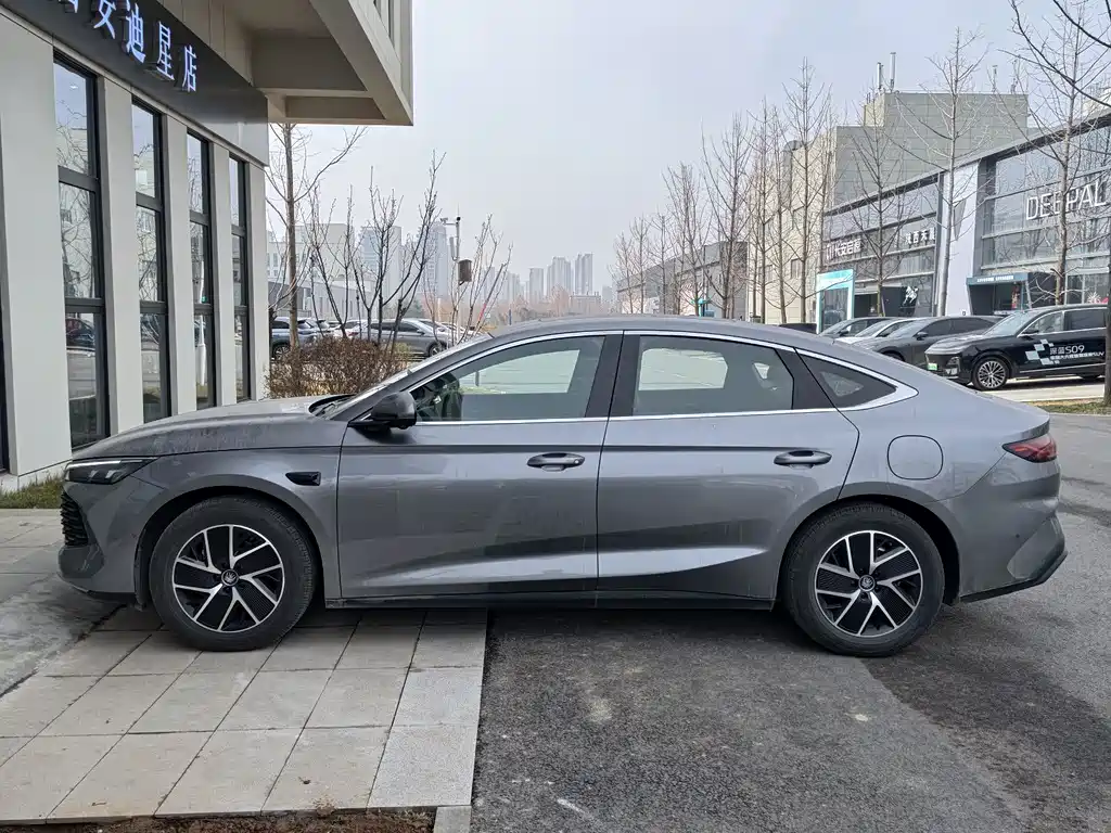 BYD QIN L
