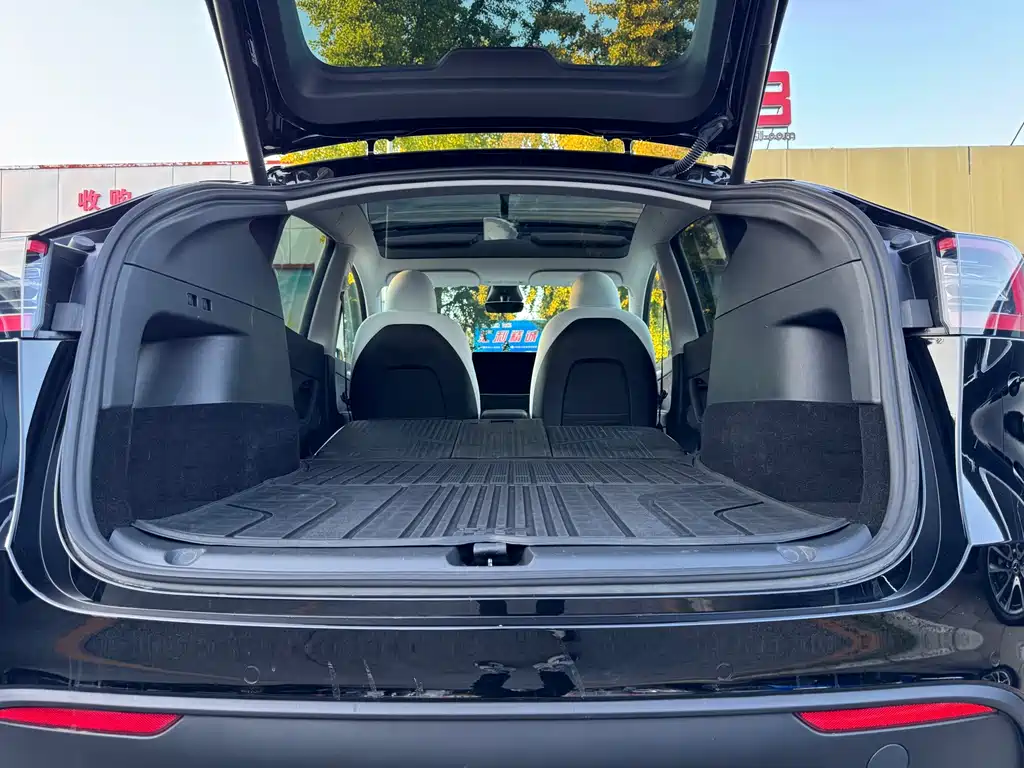 Tesla Model Y — миниатюра 12