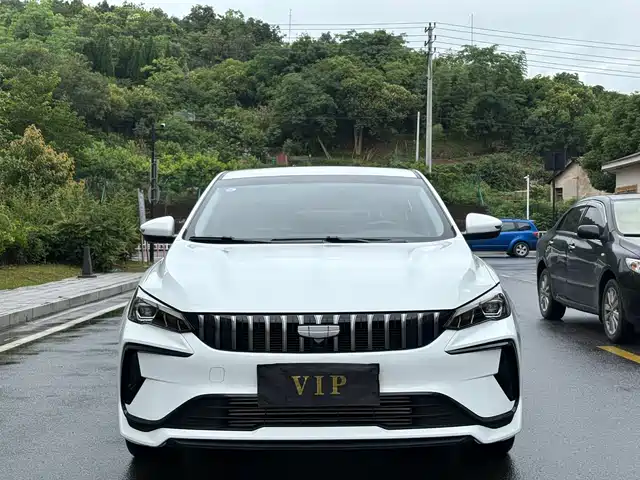 2025 Geely Binrui