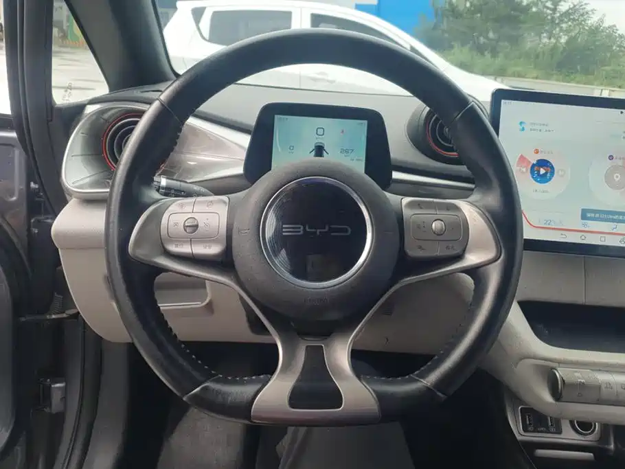 BYD Dolphin — миниатюра 14