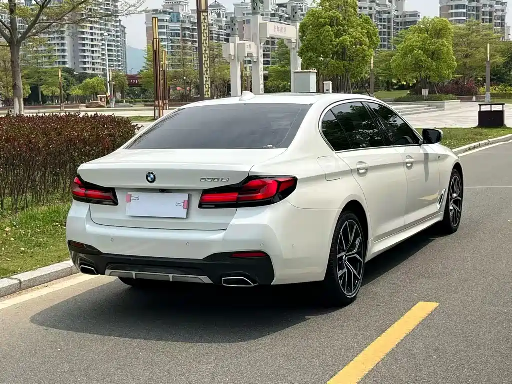 BMW 5 Series 5 2021 530Li Premium M Sport