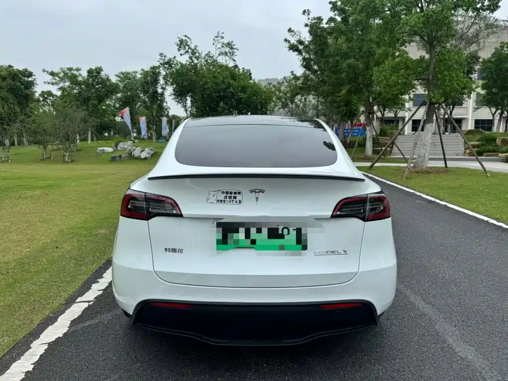 Tesla Model Y — миниатюра 8