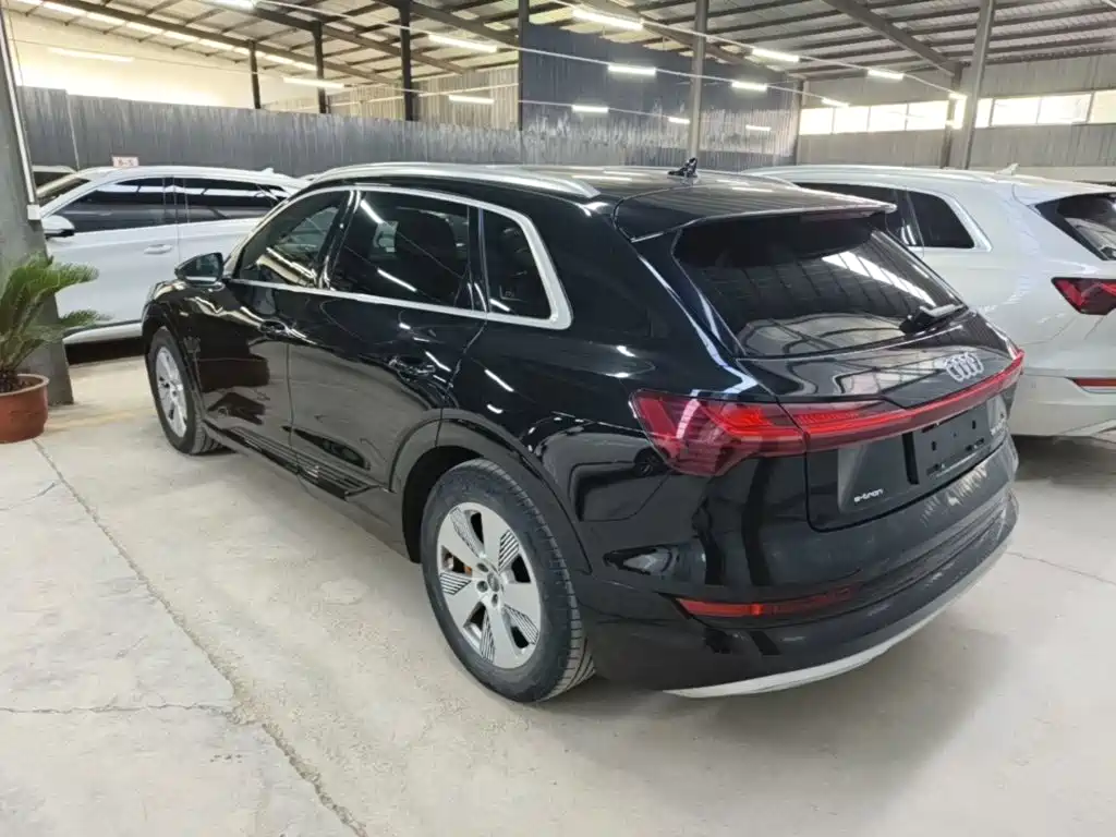 Audi e-tron (Import) — миниатюра 5