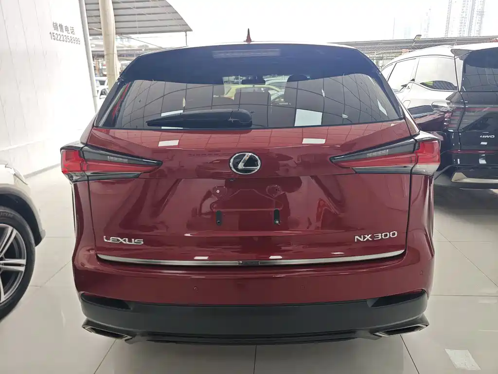 LEXUS NX