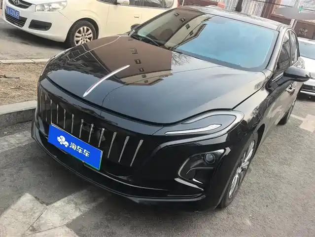 Hongqi HONGQI E QM5 2024