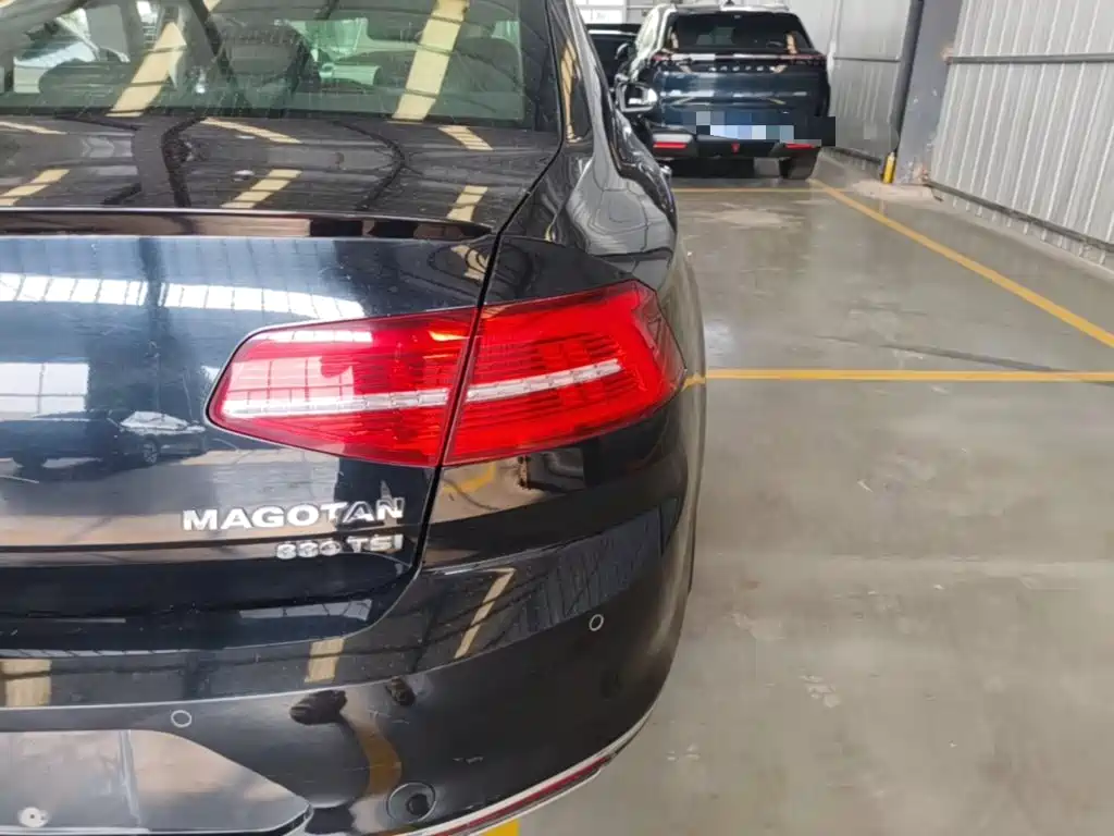 Volkswagen Magotan 2018 330TSI DSG Luxury