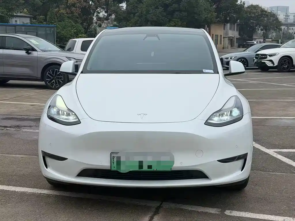 Tesla Model Y — миниатюра 2