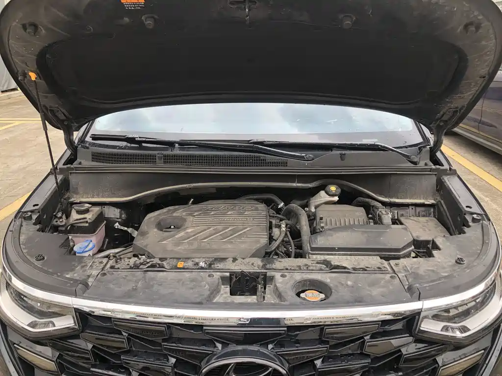 Hyundai Custo — миниатюра 20