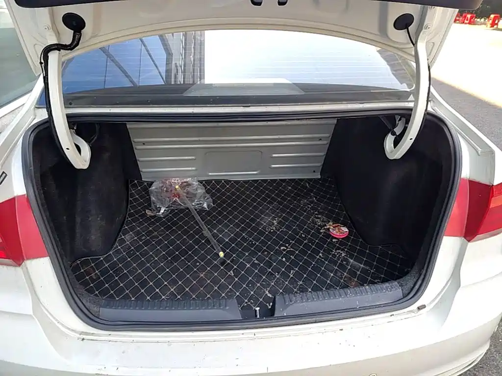 Volkswagen Santana — миниатюра 19
