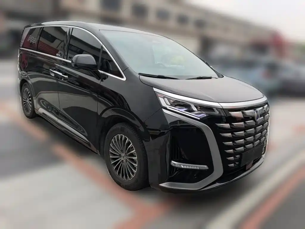 Denza Denza D9 — миниатюра 6