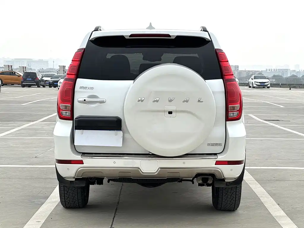 HAVAL H9