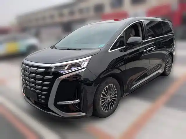 Denza D9