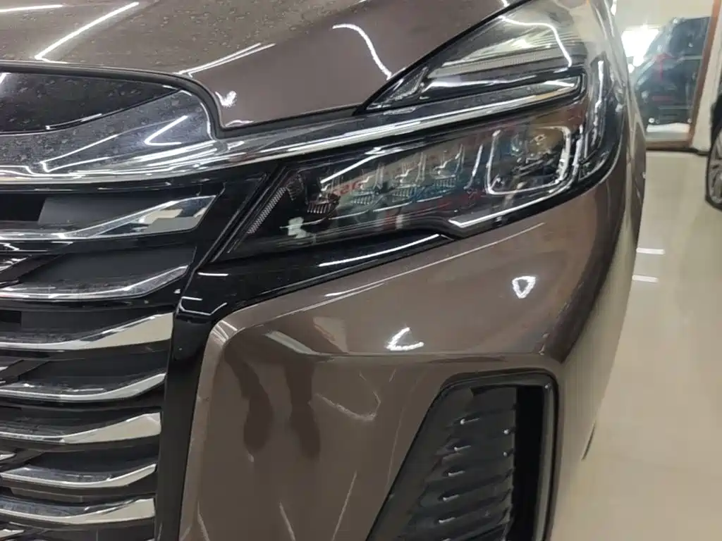Buick GL8 — миниатюра 18