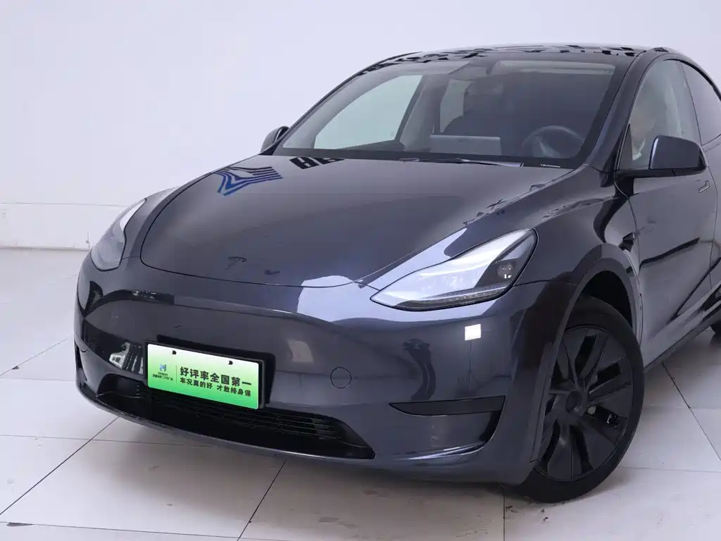 Tesla Model Y — миниатюра 3