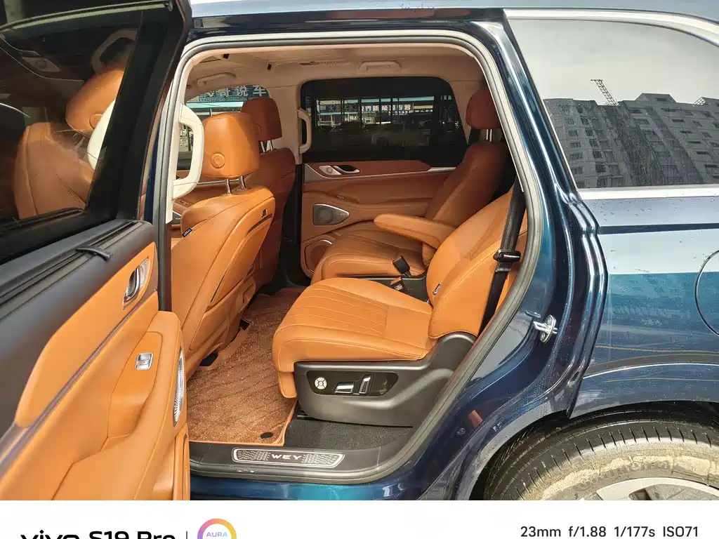 WEI PAI WEI BRAND BLUE MOUNTAIN