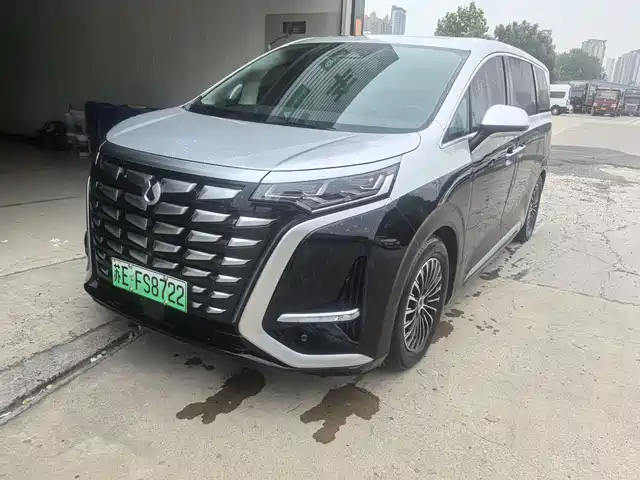 2024 Denza D9