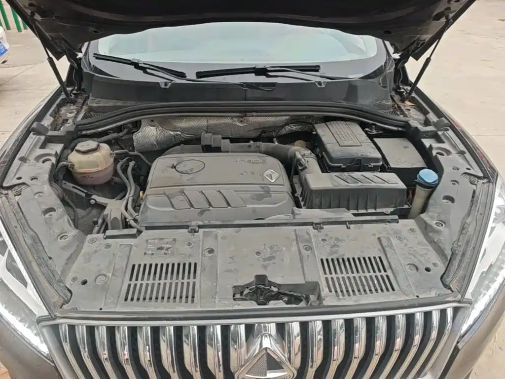 Borgward BX7 — миниатюра 20