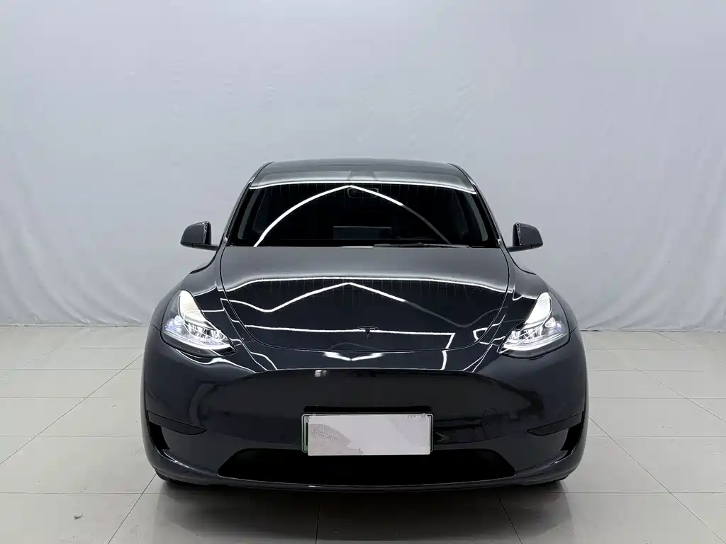 Tesla Model Y — миниатюра 2