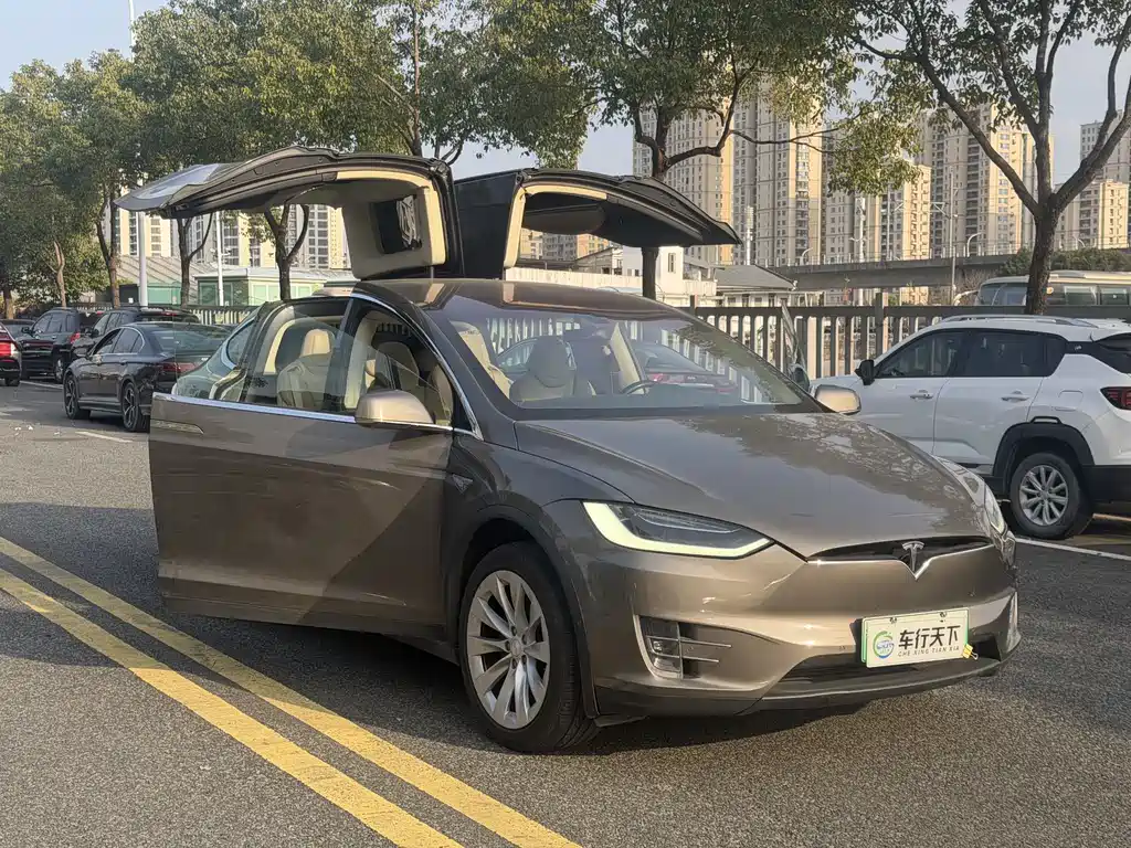 TESLA MODEL X