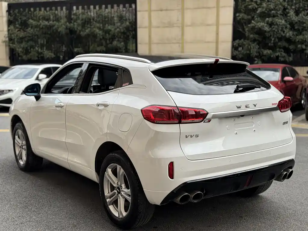 WEI PAI WEI BRAND VV5