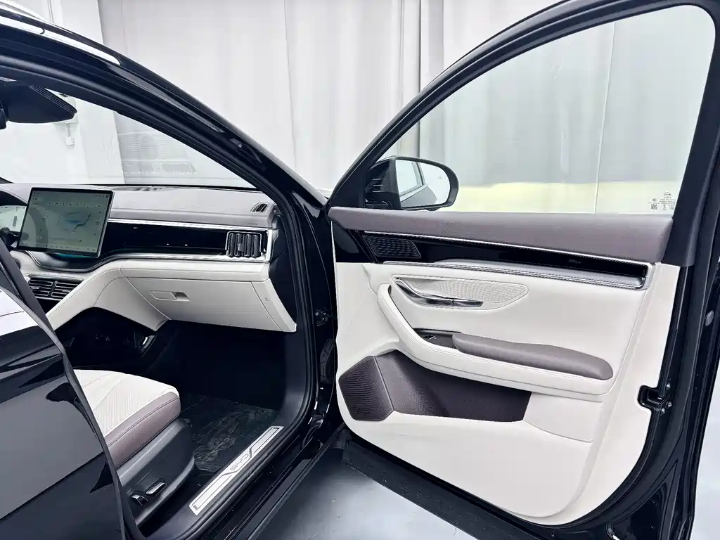 BYD SONGJIANG NEW ENERGY