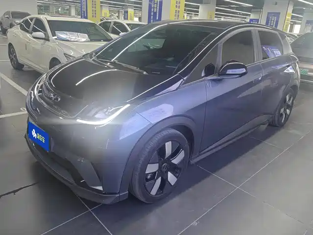 2024 BYD Dolphin