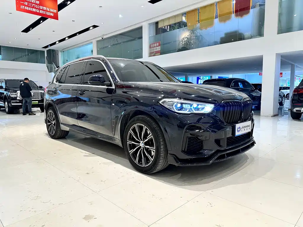 BMW X5 — миниатюра 3