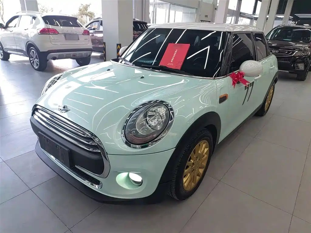 Mini Mini 2016