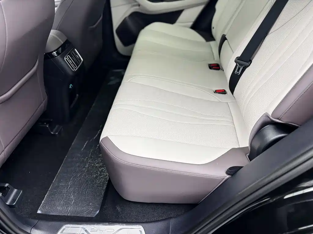 BYD SONGJIANG NEW ENERGY