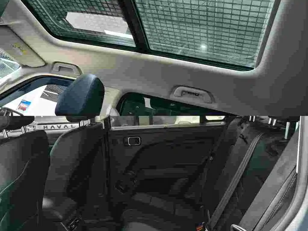 Haval Menglong New Energy Hi4 145 Cross Edition, фото 8