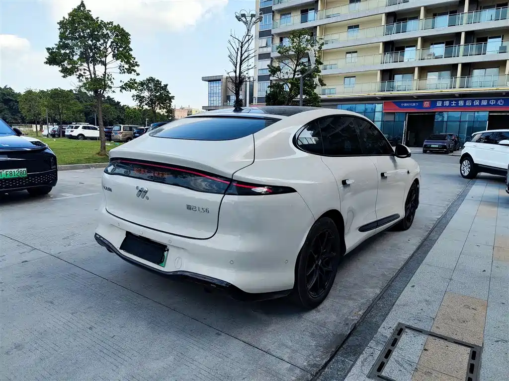 IM IM LS6 — миниатюра 9