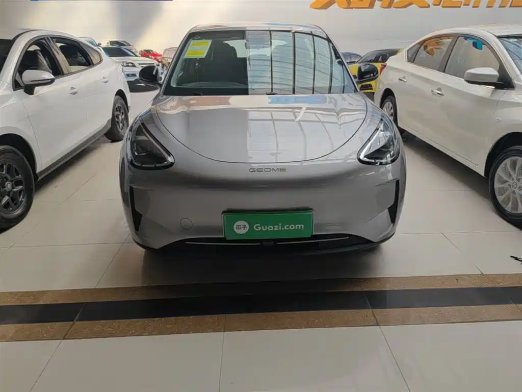 Geely Geome Xingyuan 2026 310km
