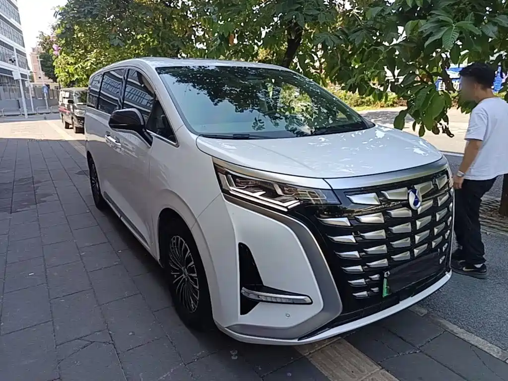 Denza Denza D9 — миниатюра 4