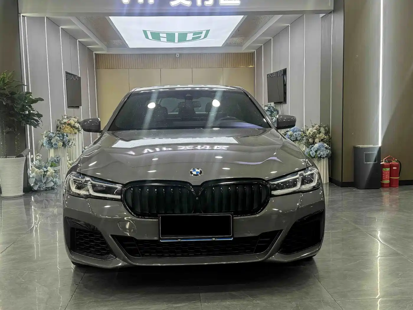 BMW 5 Series (Import)