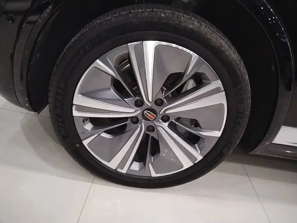 Hongqi Hongqi E-HS9 — миниатюра 23