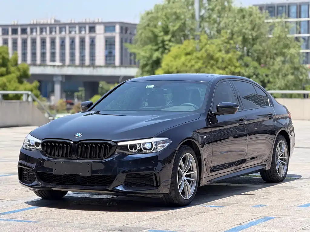 BMW 5 Series 2019
