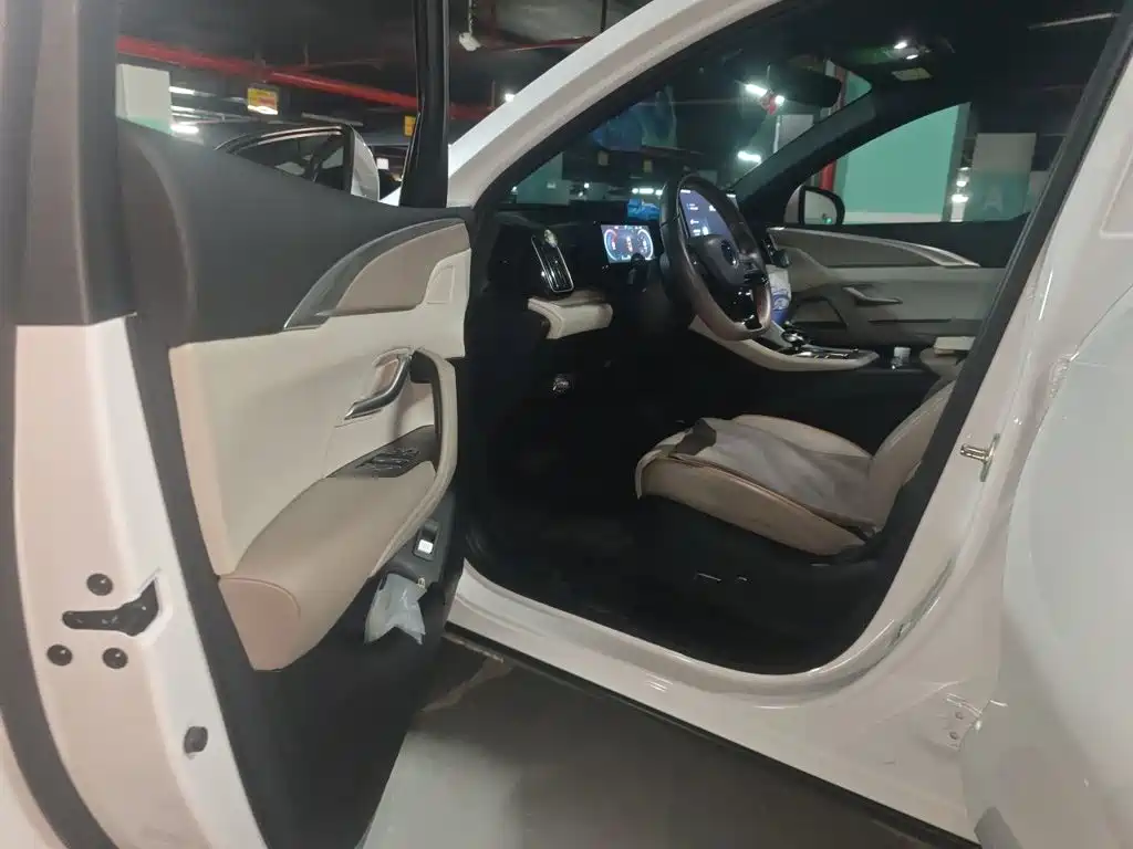 BYD Pro New Energy — миниатюра 12