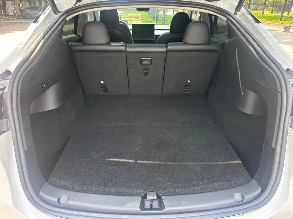 Tesla Model Y — миниатюра 11