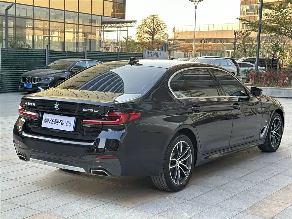 BMW 5 SERIES