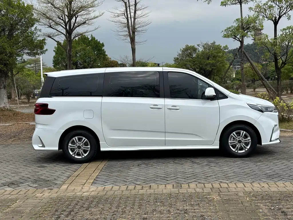 SAIC MAXUS CHASE G20